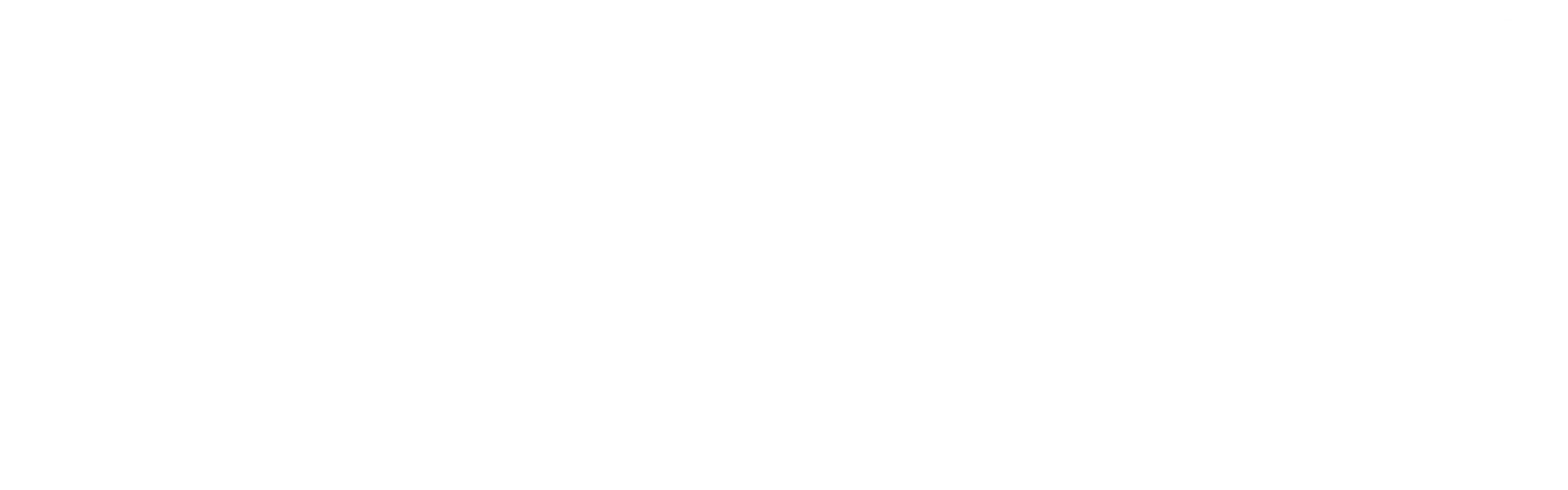 ホスチケ